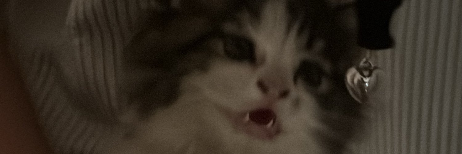 iceecri's profile banner image