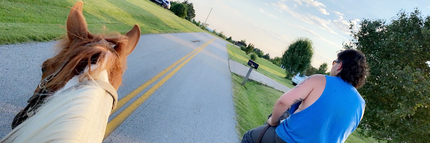 calli_hamilton's profile banner image