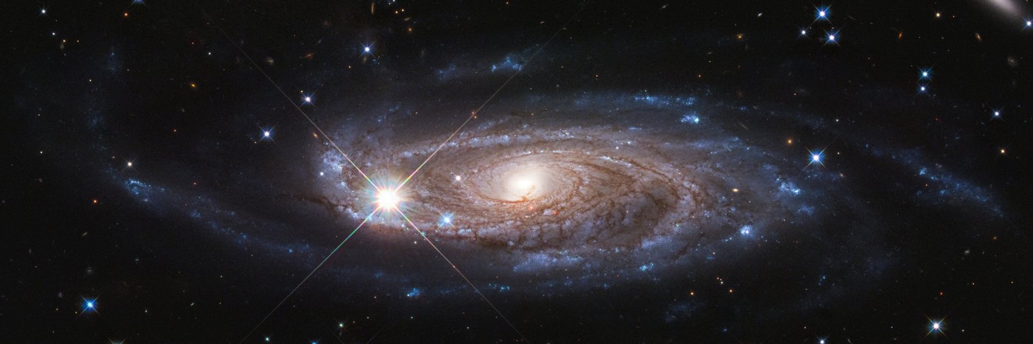 Henrique Souto Maior Rezende banner