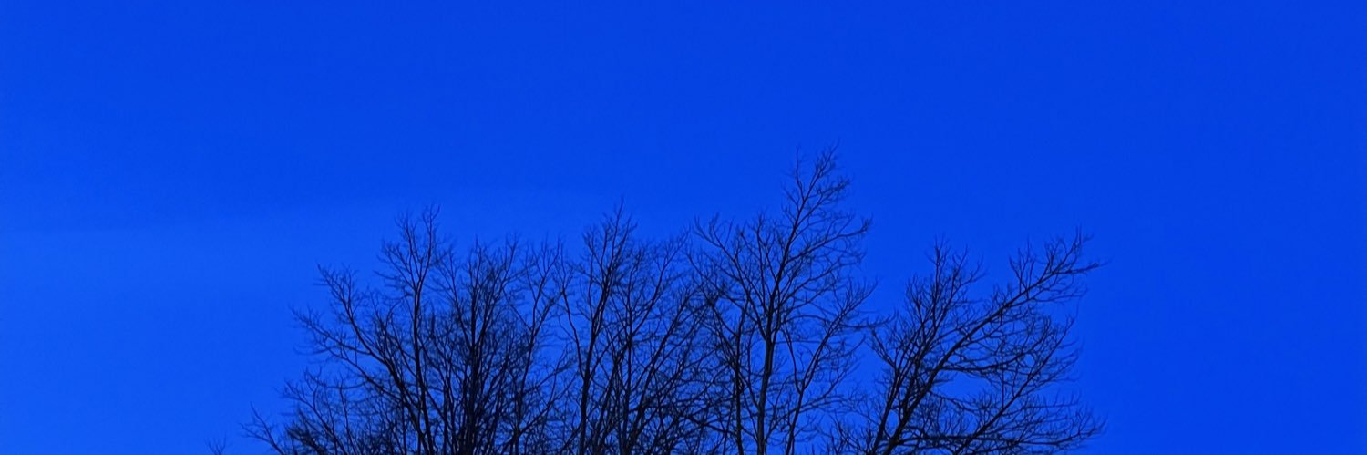woahitslibby's profile banner image