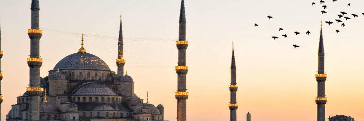 Tweedyy's profile banner image