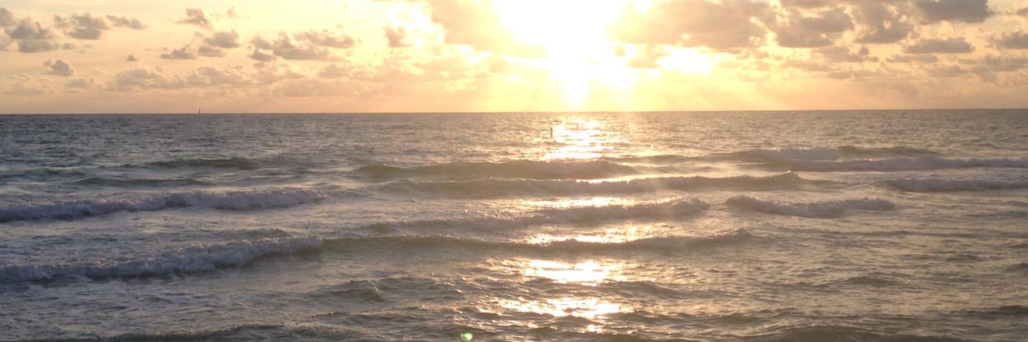 Alex Weilhammer banner