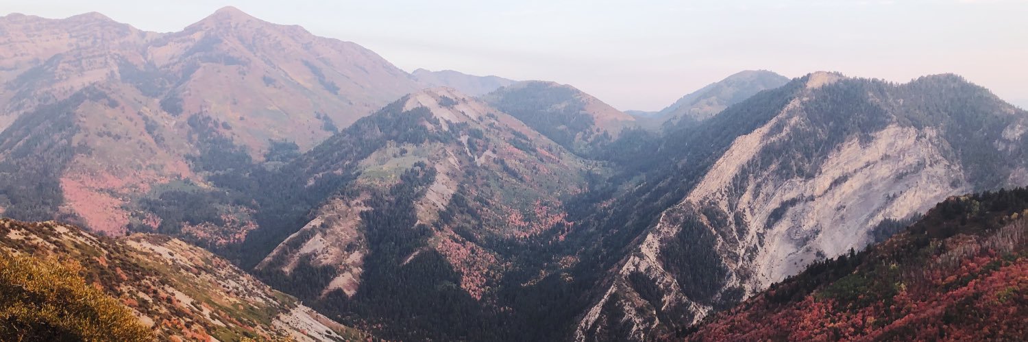 Haley Roberts banner