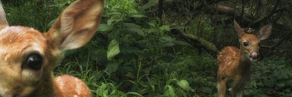 kiwiiseokk Profile Banner