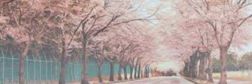 OPicReality's profile banner image