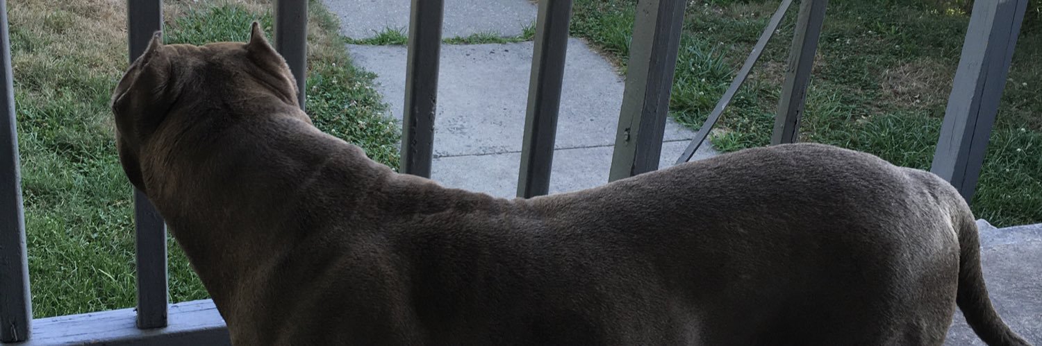 NJ 𝙷𝚘𝚘𝚍 𝙼𝚎𝚕𝚊𝚗𝚒𝚗💰 banner