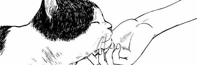 ddeninikim's profile banner image