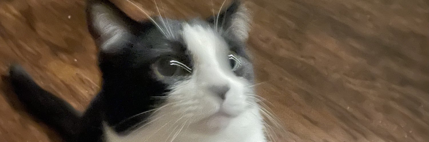 Chrissye🇺🇸🌊🦅 banner