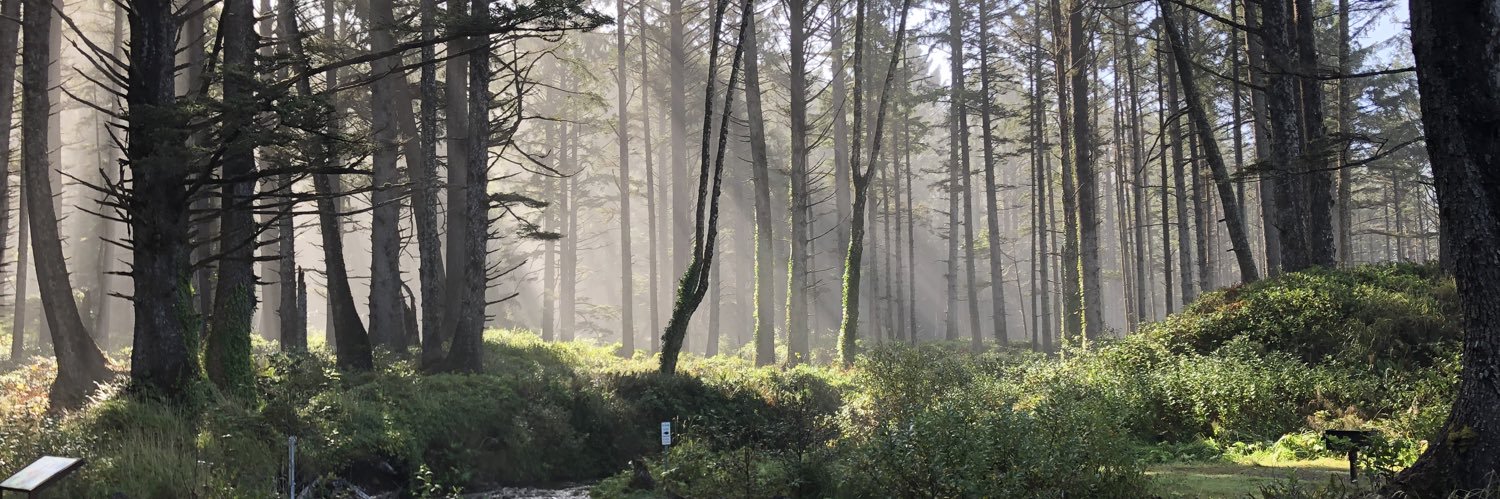 meghandrury's profile banner image