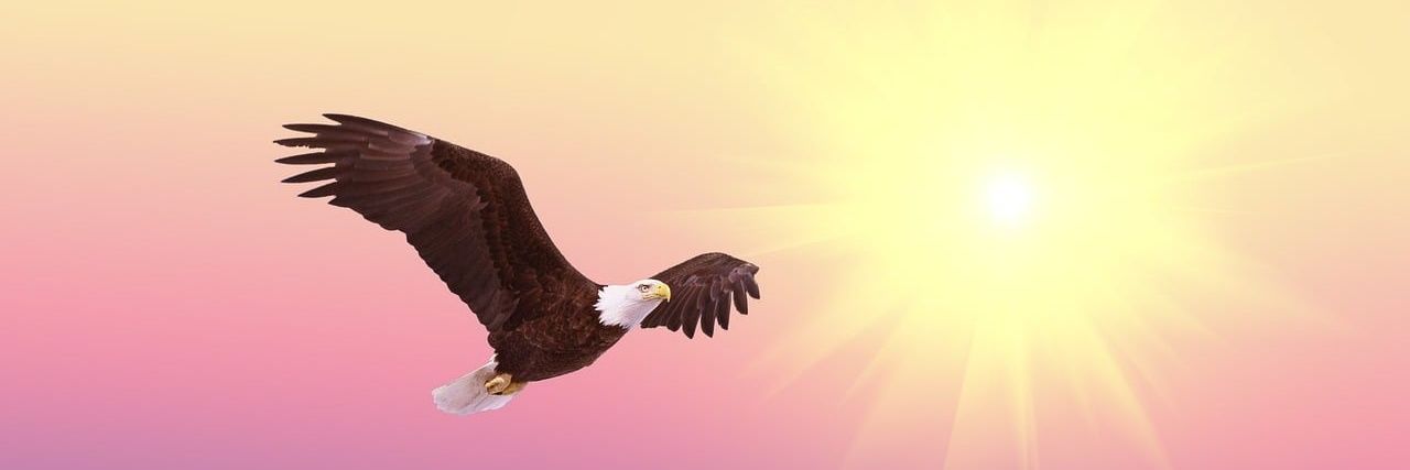 AwakePosts's profile banner image