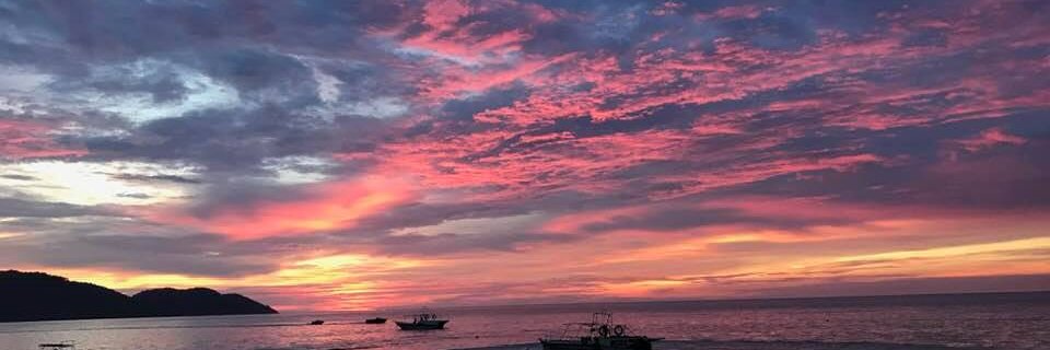 Nathaniel Tan banner