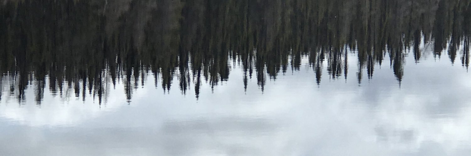 dioszbrian's profile banner image