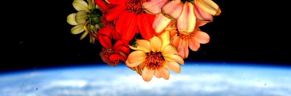 trentmsmith Profile Banner