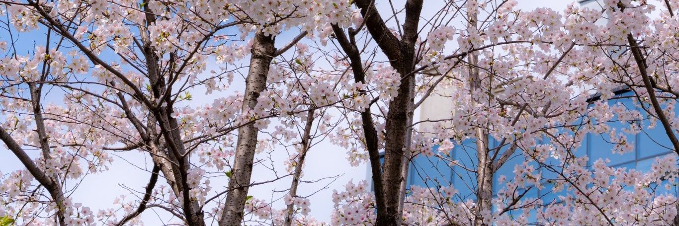 落索 banner