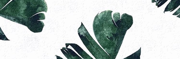 paigebrouwer's profile banner image