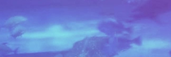 ten13_jj's profile banner image