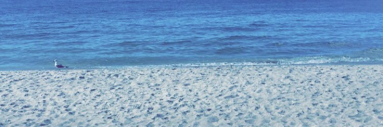 Kathy Bumeter banner