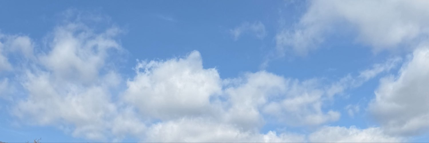 gyeotbom's profile banner image