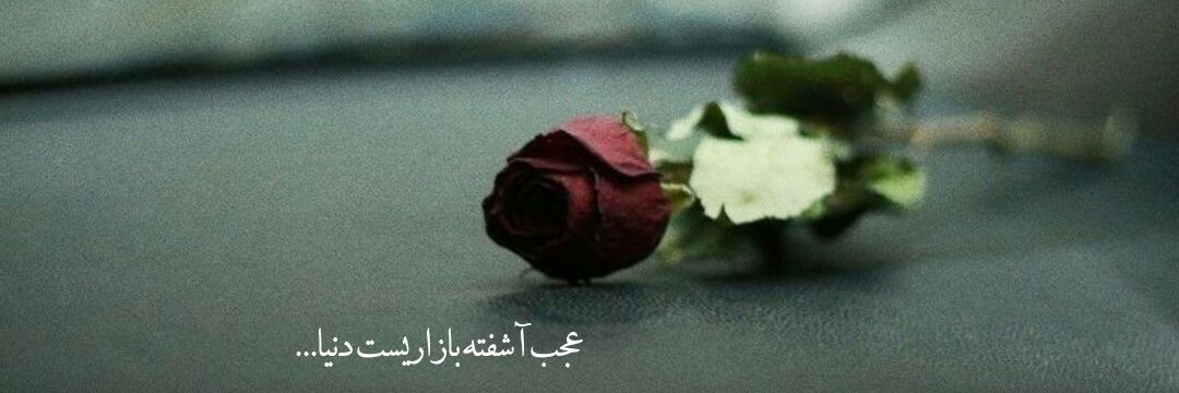 ماهگل's banner