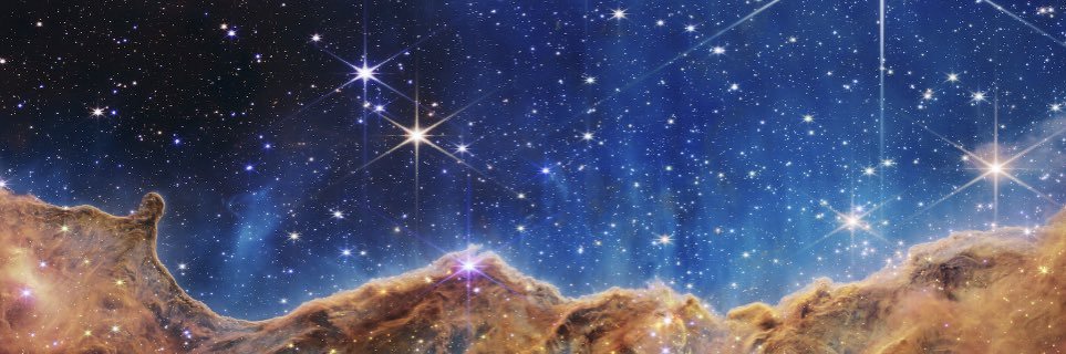 michelle slabodkin banner