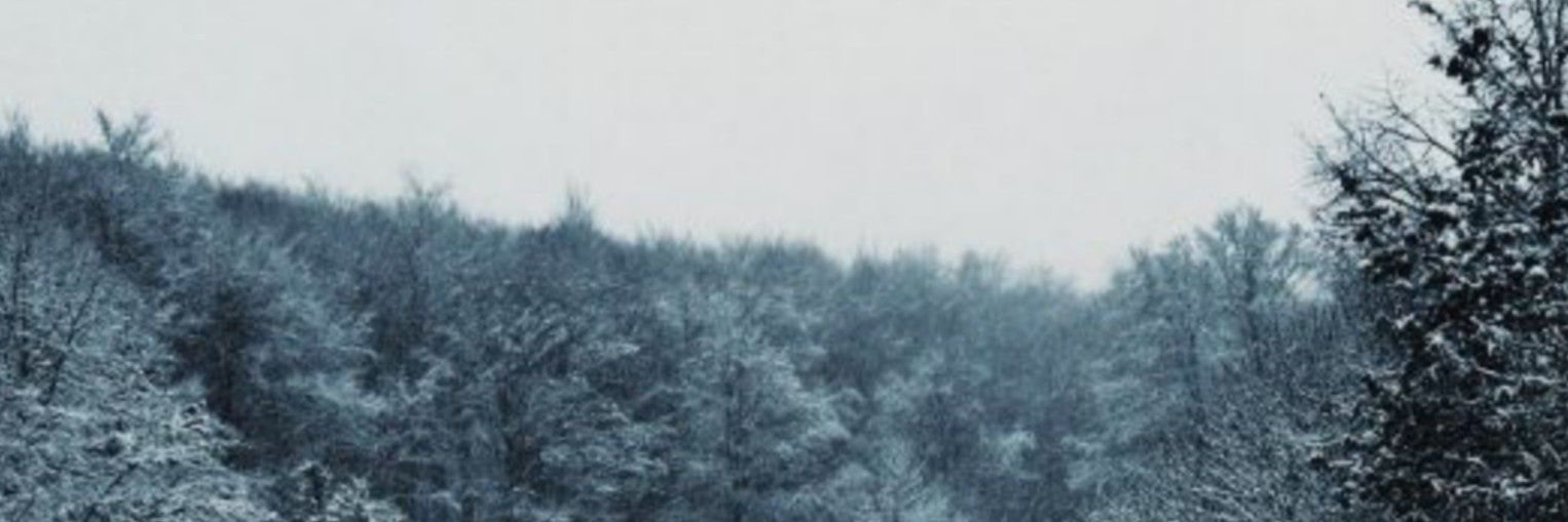 zkybae's profile banner image