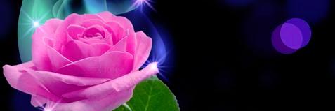 Countrylady76's profile banner image