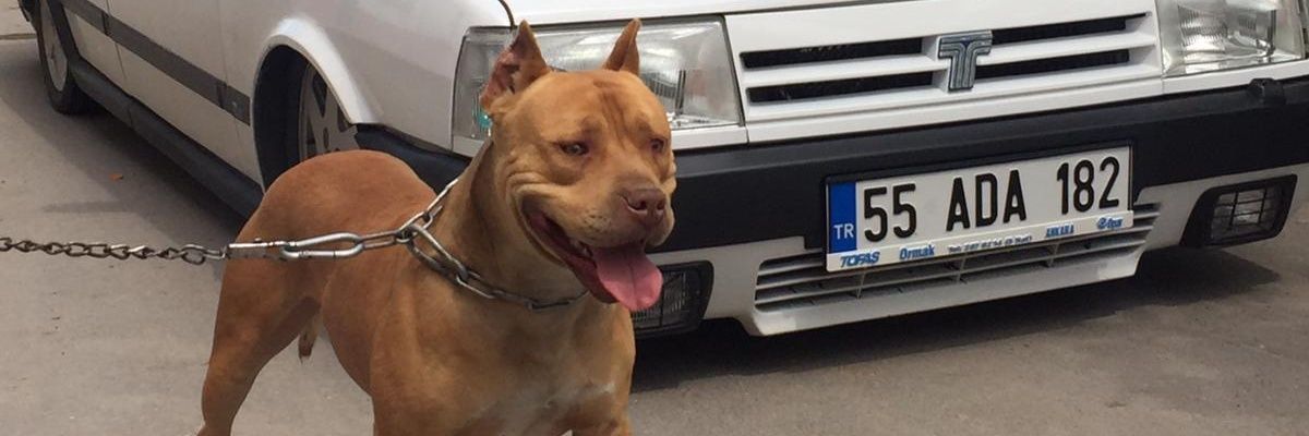 ferhatctnn5's profile banner image