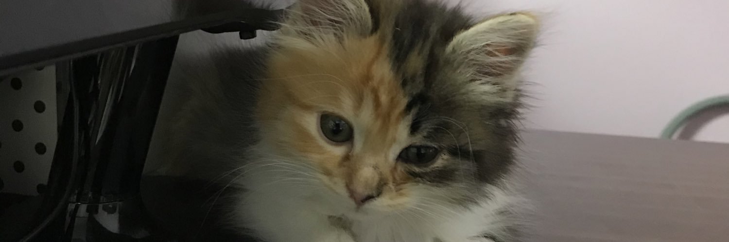 sara7cross's profile banner image