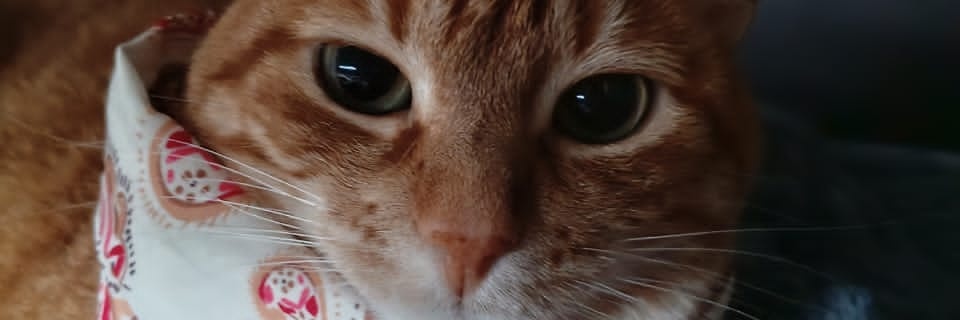 santialex89's profile banner image