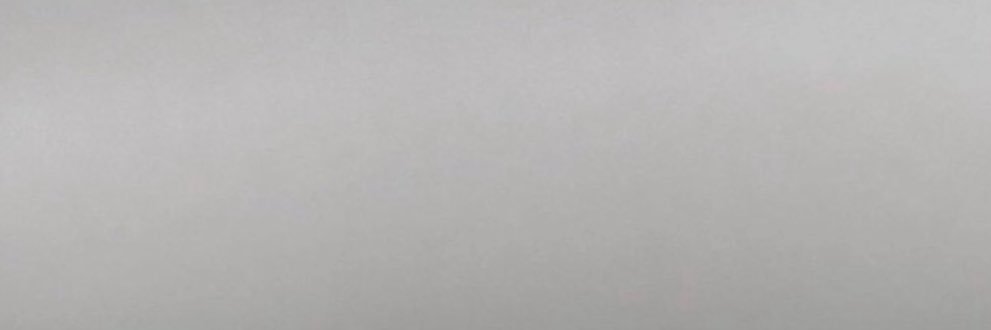 LilY banner