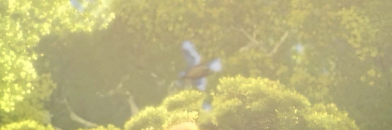 유🐨🤍 banner