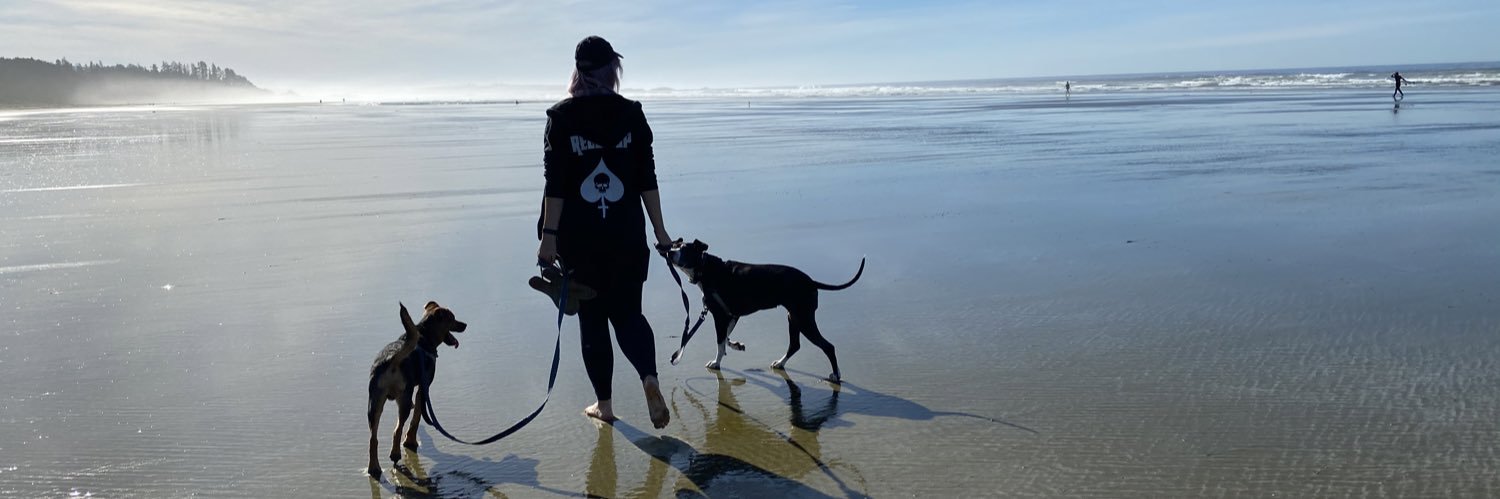 SassMay's profile banner image