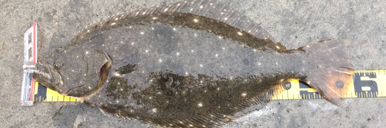 tamarumo11's profile banner image