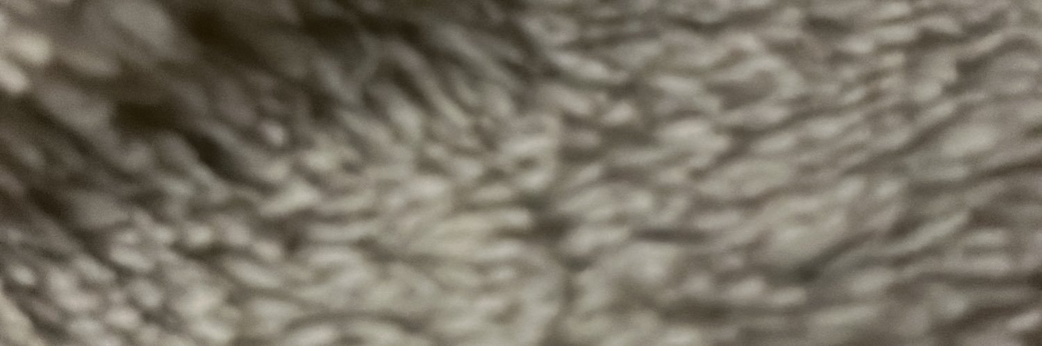 ali lukunku banner