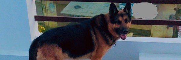 BabbuSaini01 Profile Banner