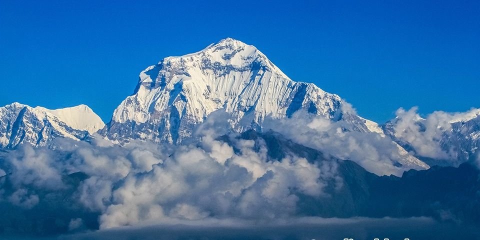 TaramiTilak's profile banner image