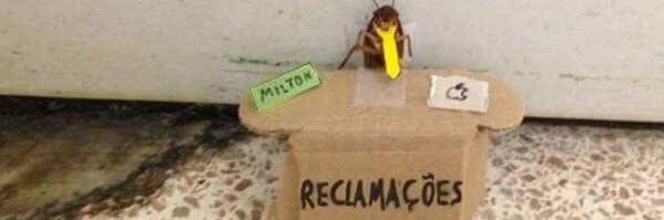 efeenika's profile banner image