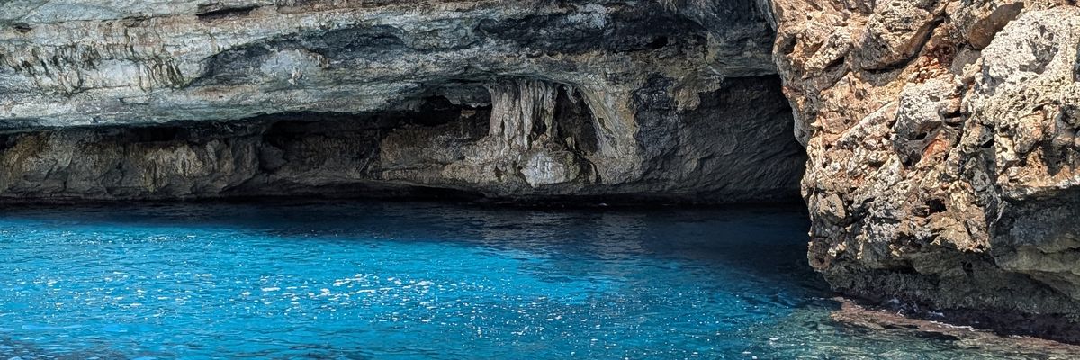 franzuak's profile banner image