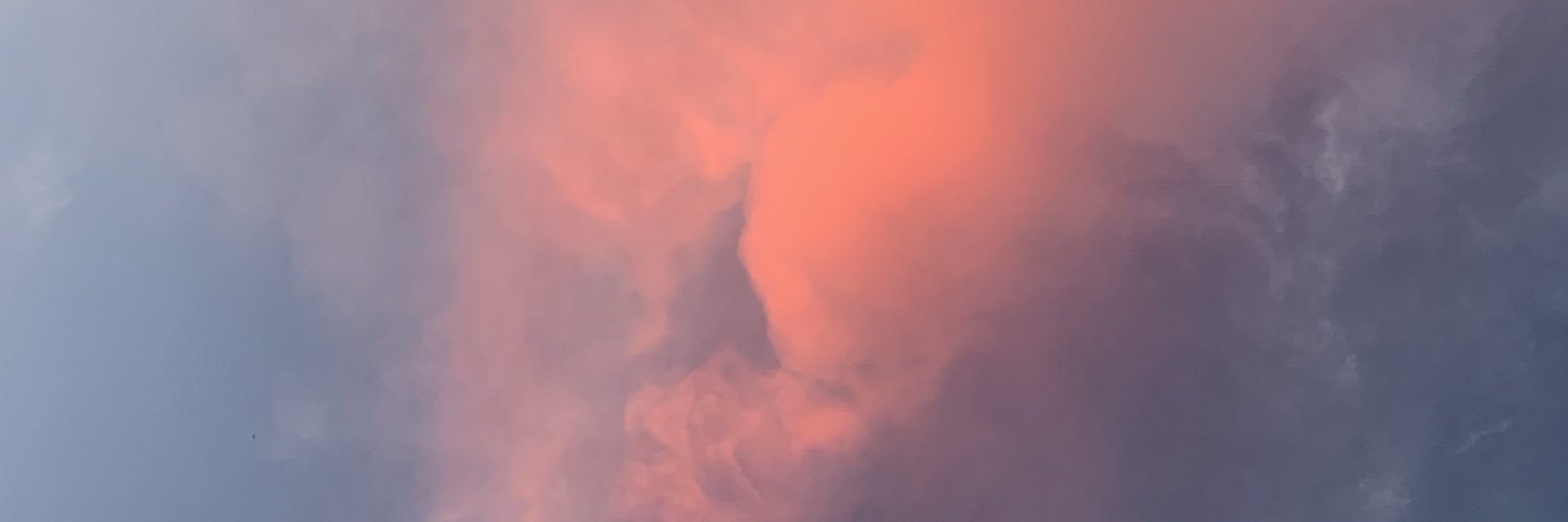 snack_e_onassis banner