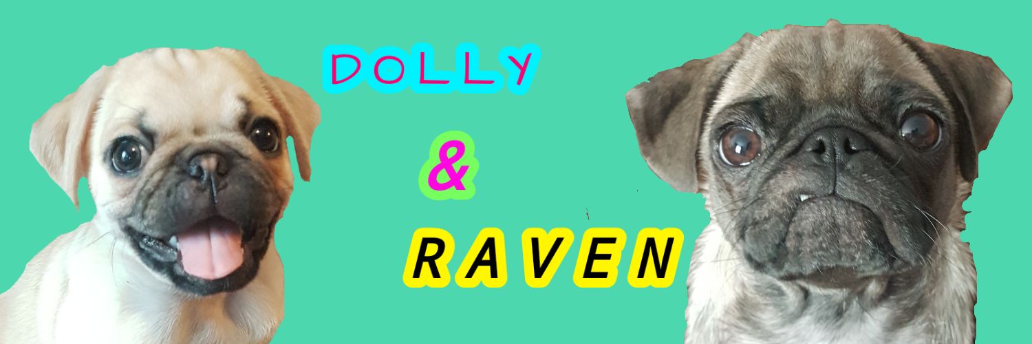 _Raven_Dolly's profile banner image