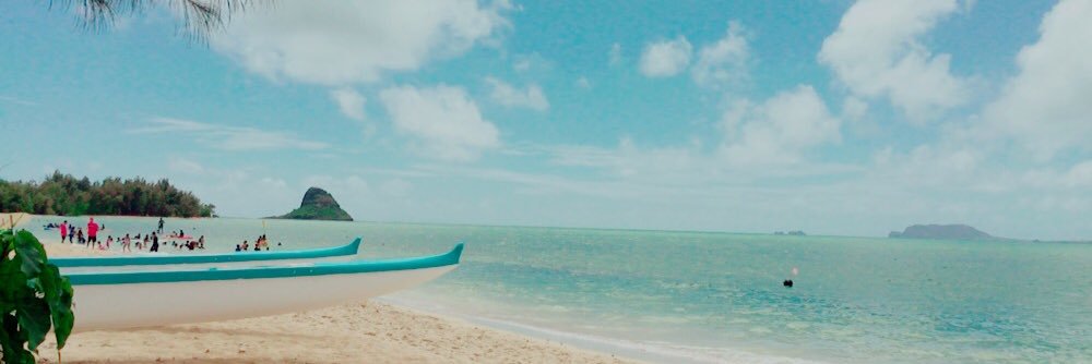 yuchan24's profile banner image