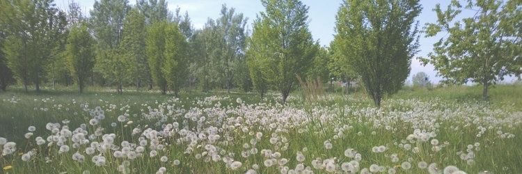 victoria 🦌🌳 saw ateez 8/3/25 banner