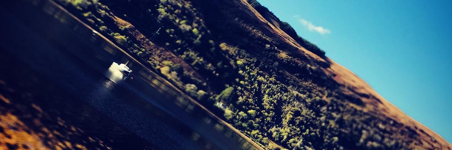 bethstirling3's profile banner image
