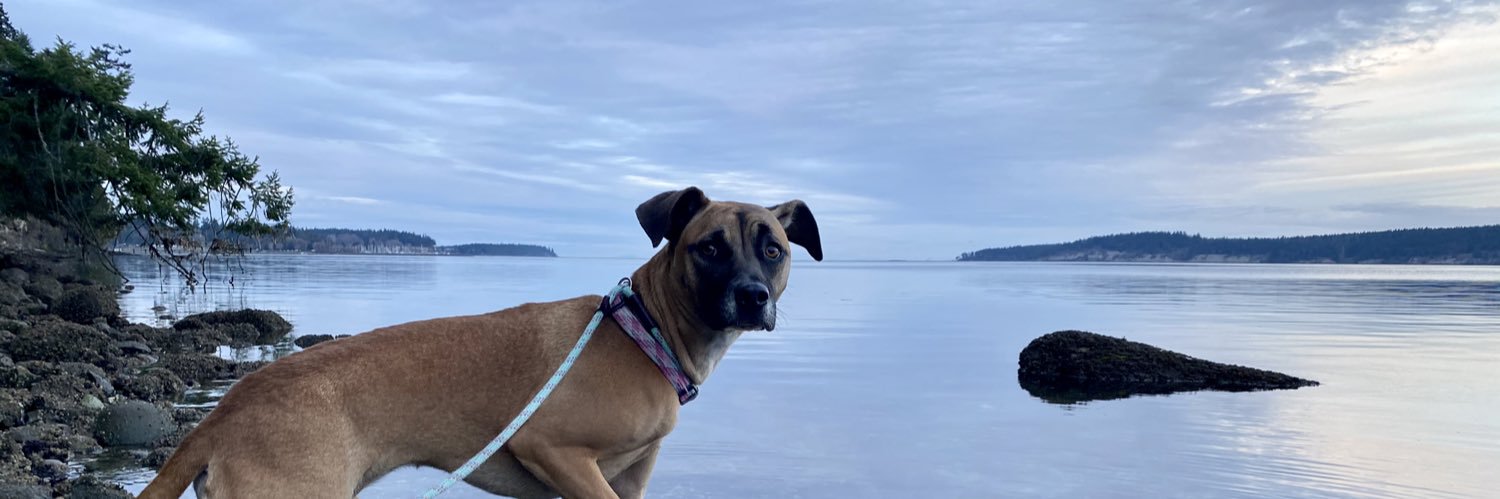 Wes Maldonado banner