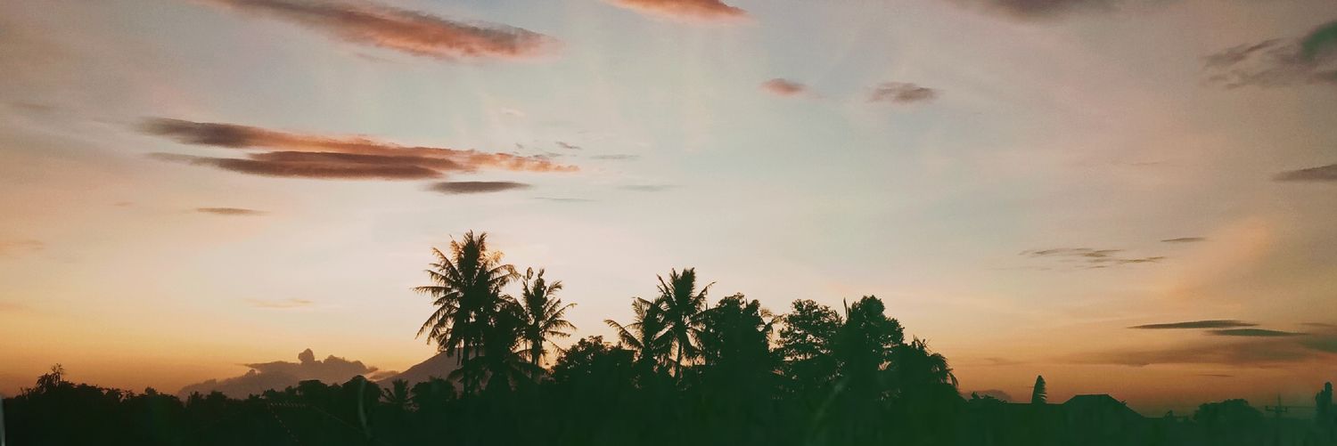 Miss_Ogut's profile banner image