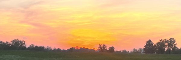 BidwellSophie Profile Banner