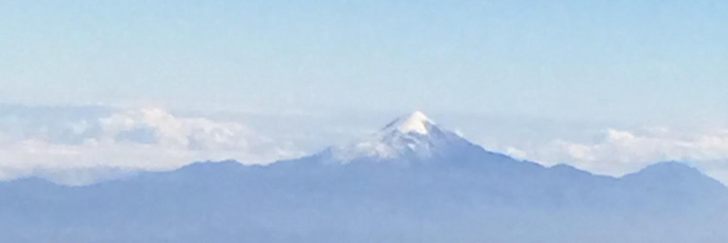 Fernando Ontiveros banner