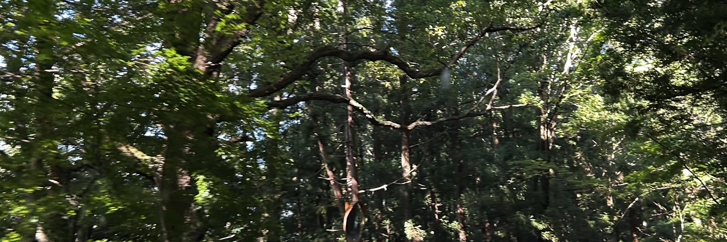 chloretz's profile banner image