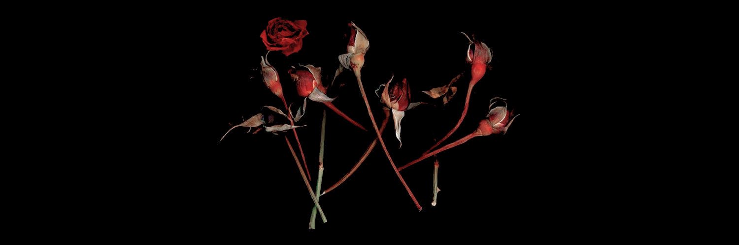 luvwilliard's profile banner image
