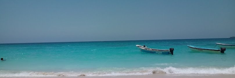 LalaCaussat's profile banner image